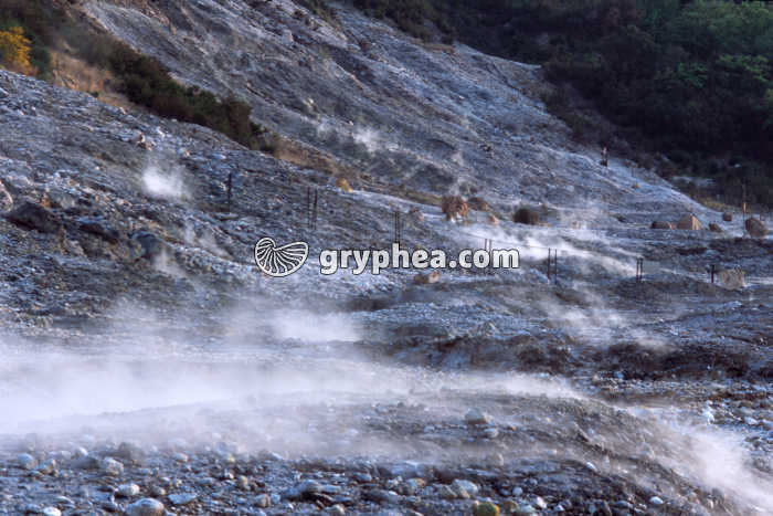 Solfatares Pozzuoli (Italie) - gryphea.org